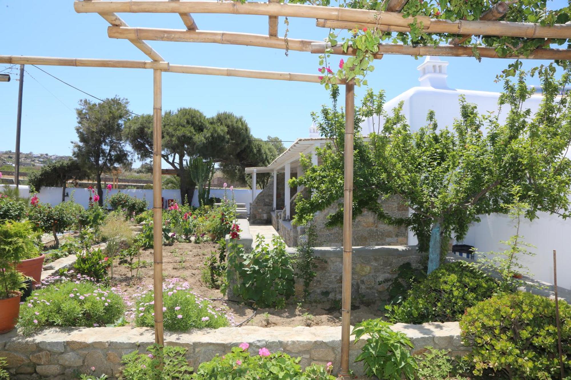 דירות Mykonos Town Anais מראה חיצוני תמונה